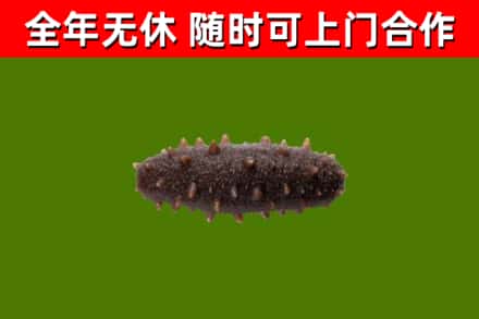 海兴烟酒回收干海参.jpg
